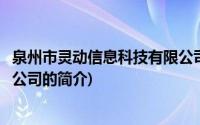 泉州市灵动信息科技有限公司(关于泉州市灵动信息科技有限公司的简介)