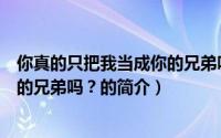 你真的只把我当成你的兄弟吗？（关于你真的只把我当成你的兄弟吗？的简介）