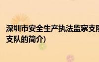 深圳市安全生产执法监察支队(关于深圳市安全生产执法监察支队的简介)