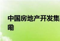 中国房地产开发集团原董事长 到底什么情况嘞