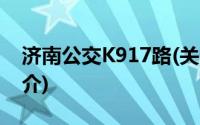 济南公交K917路(关于济南公交K917路的简介)