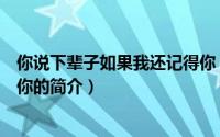 你说下辈子如果我还记得你（关于你说下辈子如果我还记得你的简介）