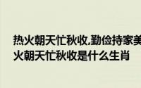 热火朝天忙秋收,勤俭持家美名扬是什么生肖 「已解决」热火朝天忙秋收是什么生肖