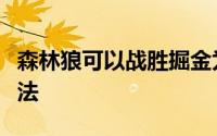 森林狼可以战胜掘金为什么却拿独行侠毫无办法