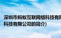 深圳市蚂蚁互联网络科技有限公司(关于深圳市蚂蚁互联网络科技有限公司的简介)