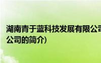 湖南青于蓝科技发展有限公司(关于湖南青于蓝科技发展有限公司的简介)