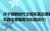 沙子镇新时代文明实践志愿服务分队(关于沙子镇新时代文明实践志愿服务分队的简介)