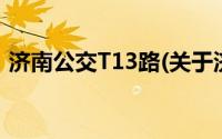 济南公交T13路(关于济南公交T13路的简介)