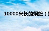 10000米长的蜈蚣（蝴蝶是益虫还是害虫）