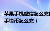 苹果手机微信怎么充值快手快币（微信充值快手快币怎么充）