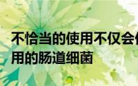 不恰当的使用不仅会促进抗生素抗性并杀死有用的肠道细菌