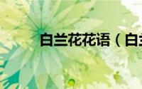 白兰花花语（白兰花花语是什么）