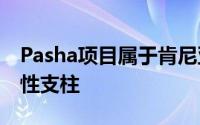 Pasha项目属于肯尼亚ICT委员会的数字包容性支柱