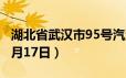 湖北省武汉市95号汽油价格查询（2024年06月17日）