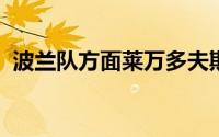 波兰队方面莱万多夫斯基因伤在替补席待命