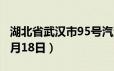 湖北省武汉市95号汽油价格查询（2024年06月18日）