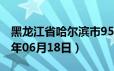 黑龙江省哈尔滨市95号汽油价格查询（2024年06月18日）