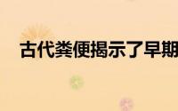 古代粪便揭示了早期的定居者寄生虫感染