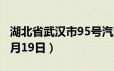 湖北省武汉市95号汽油价格查询（2024年06月19日）