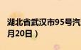 湖北省武汉市95号汽油价格查询（2024年06月20日）