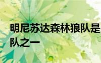 明尼苏达森林狼队是2023至24赛季最高的球队之一