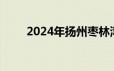 2024年扬州枣林湾音乐节活动攻略