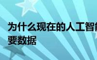 为什么现在的人工智能比以往任何时候都更需要数据