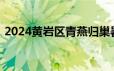 2024黄岩区青燕归巢暑期社会实践报名入口