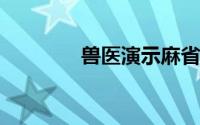 兽医演示麻省理工学院假肢