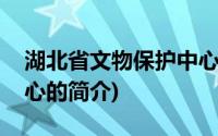 湖北省文物保护中心(关于湖北省文物保护中心的简介)