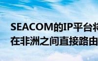 SEACOM的IP平台将允许通过一个无缝网络在非洲之间直接路由