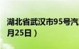 湖北省武汉市95号汽油价格查询（2024年06月25日）