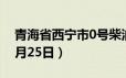 青海省西宁市0号柴油价格查询（2024年06月25日）