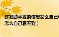 群发助手发的信息怎么自己看不见（群发助手发出去的消息怎么自己看不到）