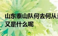 山东泰山队何去何从当前的定位和未来的方向又是什么呢