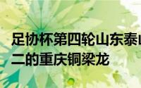 足协杯第四轮山东泰山队客场对阵中甲排名第二的重庆铜梁龙