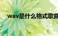 wav是什么格式歌曲（wav是什么格式）