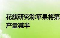 花旗研究称苹果将第二季度iPhone XS Max产量减半