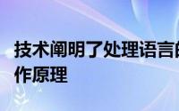 技术阐明了处理语言的人工智能系统的内部工作原理