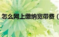 怎么网上缴纳宽带费（宽带费网上怎么缴费）