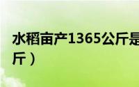 水稻亩产1365公斤是单季（水稻亩产1365公斤）