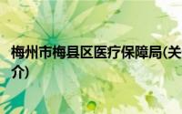 梅州市梅县区医疗保障局(关于梅州市梅县区医疗保障局的简介)