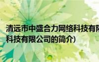 清远市中盛合力网络科技有限公司(关于清远市中盛合力网络科技有限公司的简介)