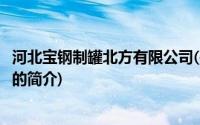 河北宝钢制罐北方有限公司(关于河北宝钢制罐北方有限公司的简介)