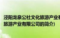 泾阳龙泉公社文化旅游产业有限公司(关于泾阳龙泉公社文化旅游产业有限公司的简介)