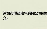 深圳市博超电气有限公司(关于深圳市博超电气有限公司的简介)