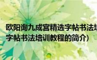 欧阳询九成宫精选字帖书法培训教程(关于欧阳询九成宫精选字帖书法培训教程的简介)