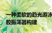 一种柔软的趋光游泳机器人 使用自持式水凝胶振荡器构建