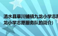 清水县草川铺镇九龙小学志愿服务队(关于清水县草川铺镇九龙小学志愿服务队的简介)