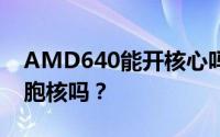 AMD640能开核心吗？解决它！你能打开细胞核吗？